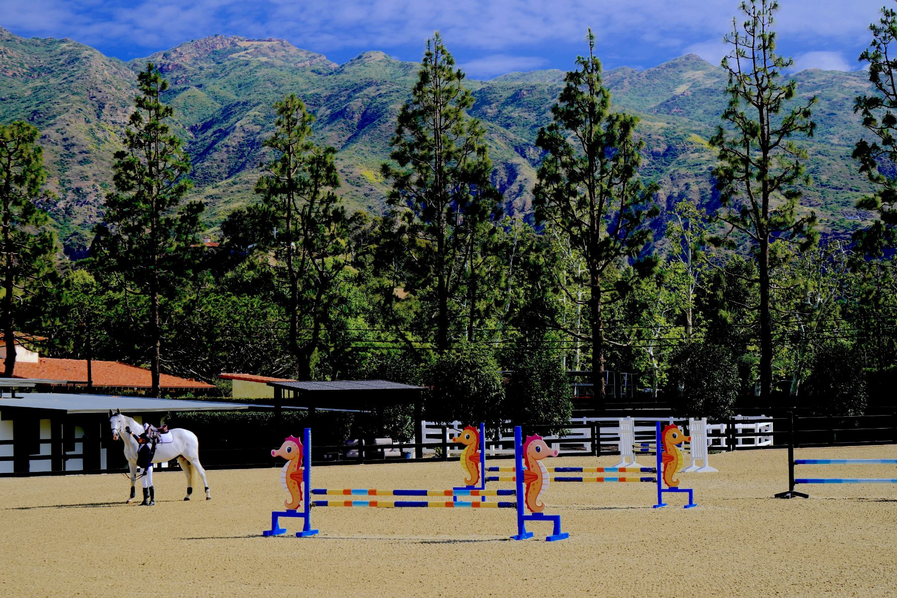 The grand arena with mountains behind